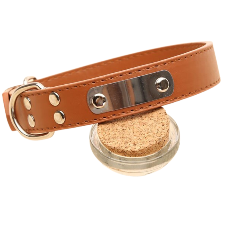 Pet Dog Leather Collar