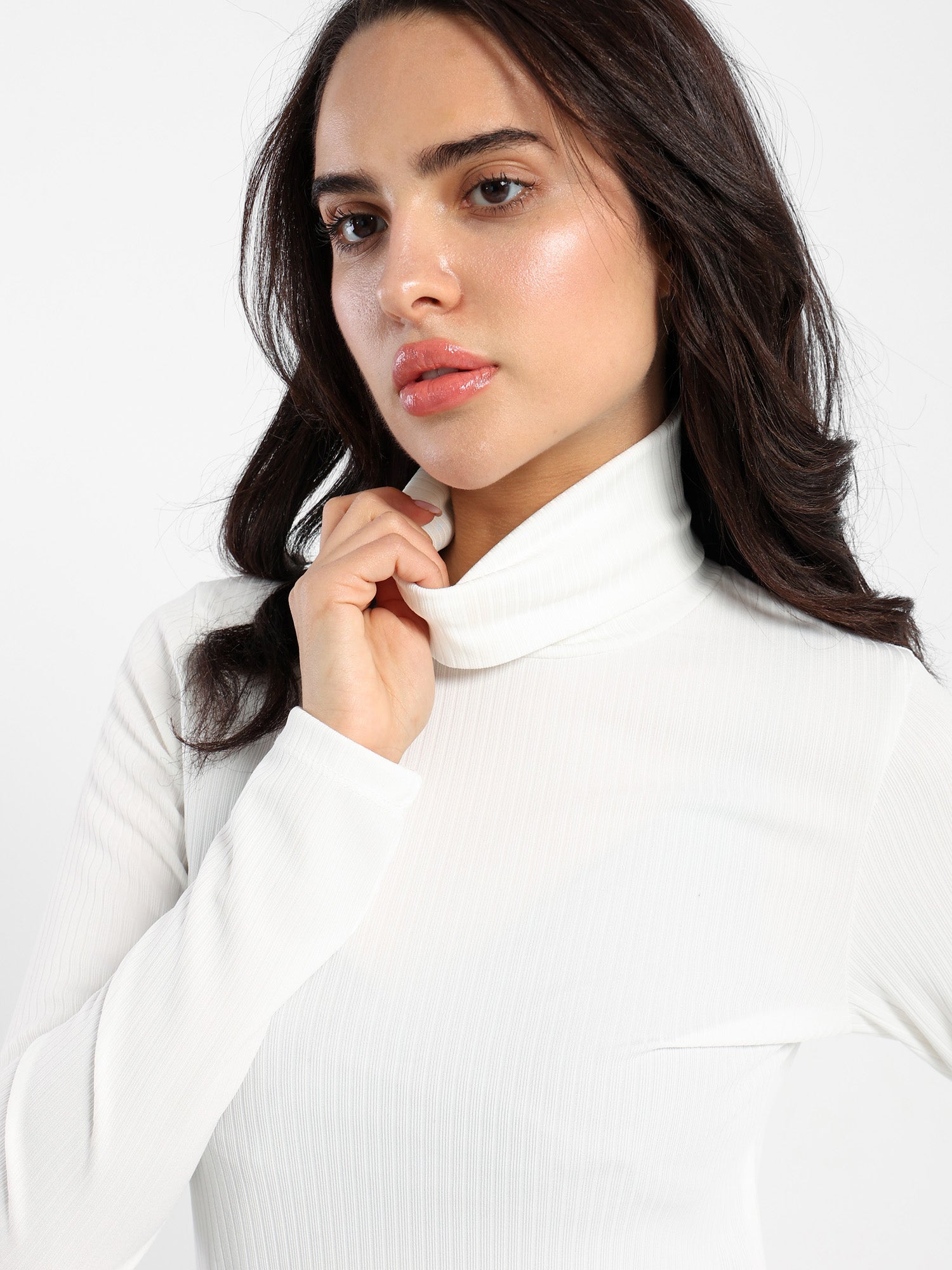 Turtle Neck Long Sleeves Top