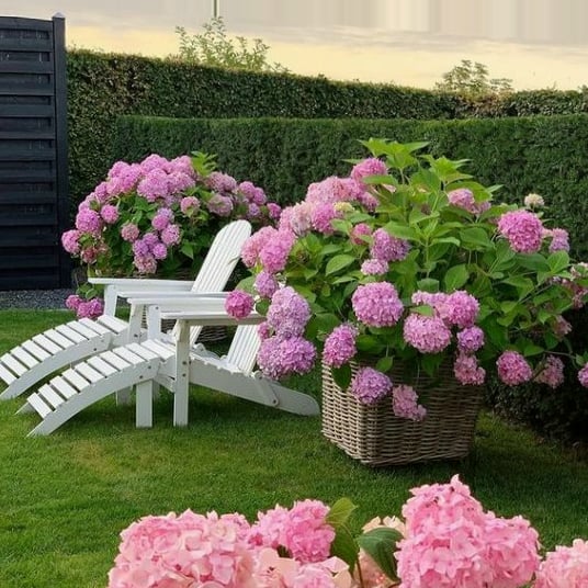 49% OFF--Outdoor Artificial Hydrangea Flowers💐