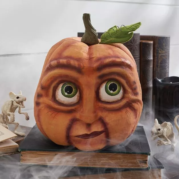 🤣Funny Pumpkin Garden Decoration Indoor Decorations🎁