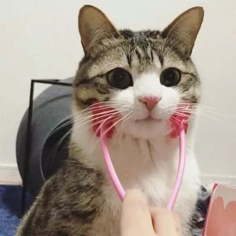 Pet Cat Massage Tool