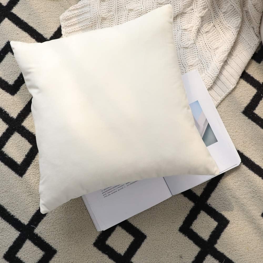 Off White-Velvet Cushion Covers