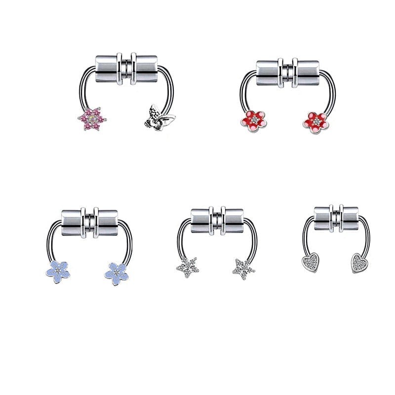 Magnet Septum Ring