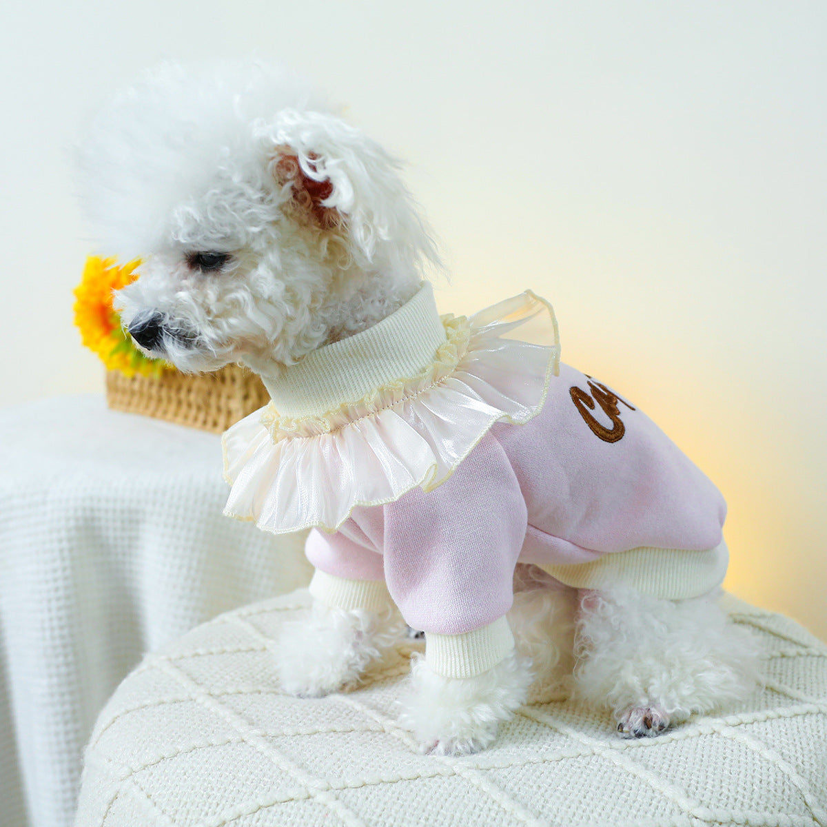 Cupcake Lace Collar Dog Cat Sweatshirt