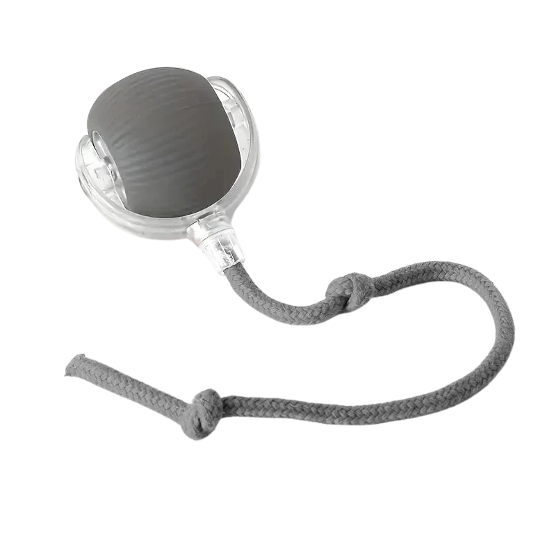Interactive Motion Ball For Pets With USB Charging
