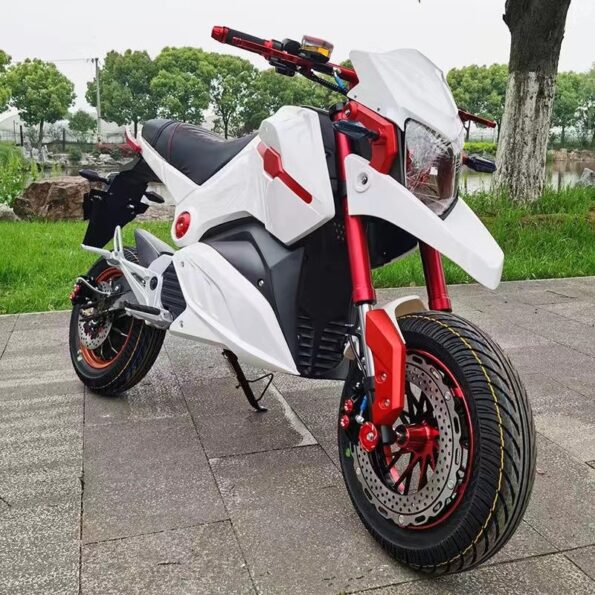 🔥Clearance sale Last five days🔥 – Lithium Battery Electric Motorcycle