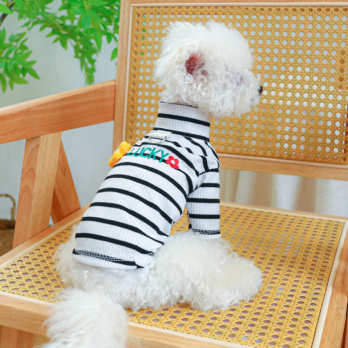 Lucky Flower Striped Dog Cat Tee Harness