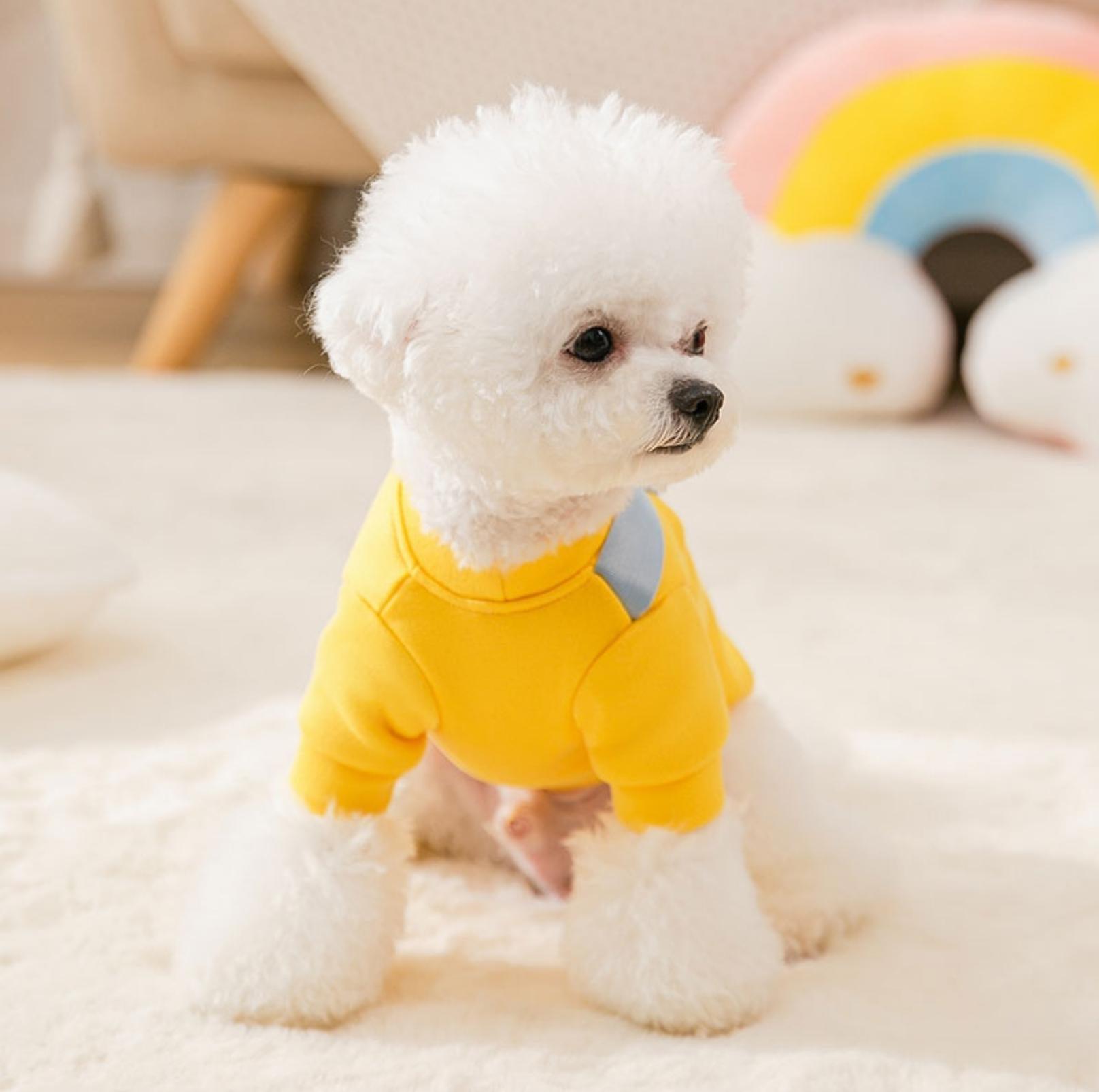 Warm and Fashionable Pet Sweater with Crossbody Bag