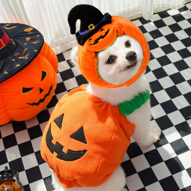 Minimalist Classic Style Polyester Halloween Pumpkin Pet Clothing