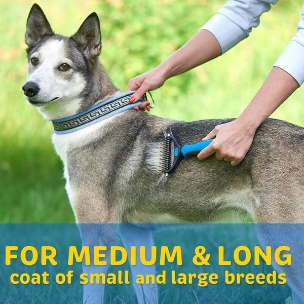 💖Hot Sale 🎁Pet Safe Dematting Comb