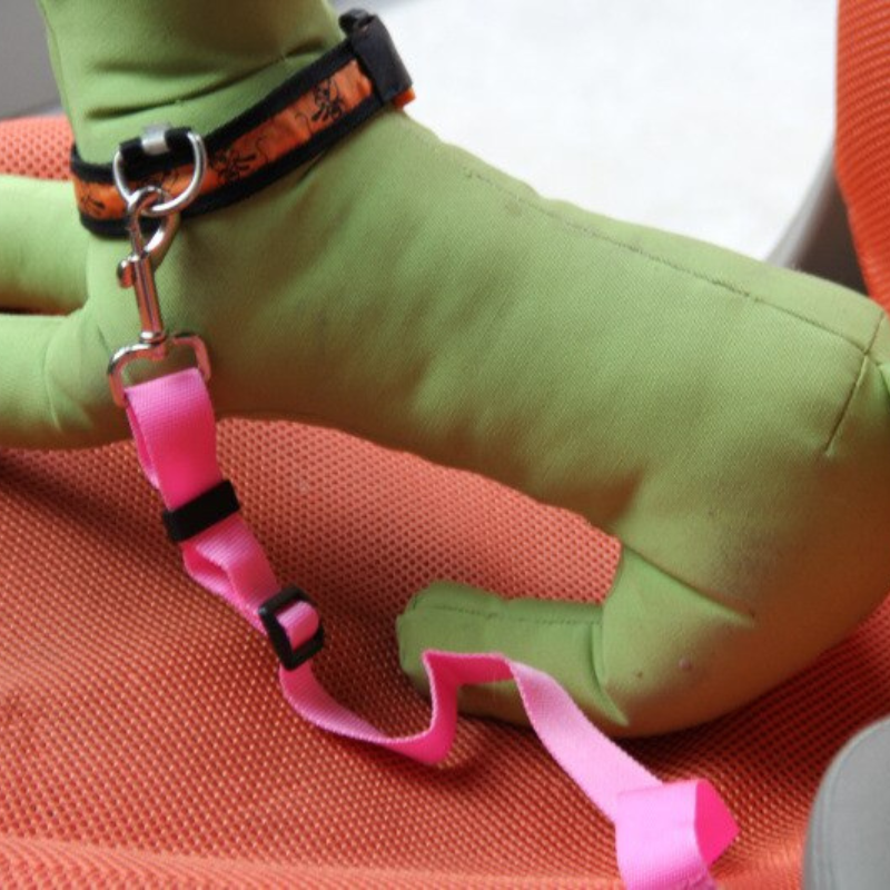 Pet Car Safety Seat Belt