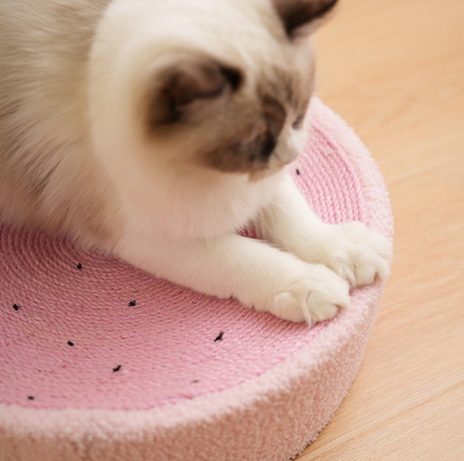 Fruit-Design Sisal Cat Scratcher