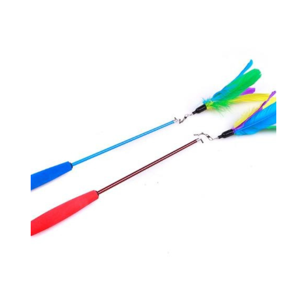 Feather Wand Plastic Toy