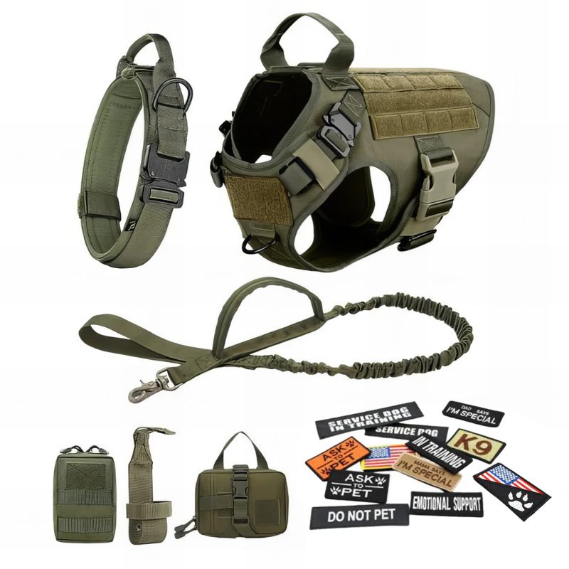 Vibrant Design Dog Harness With Accessories