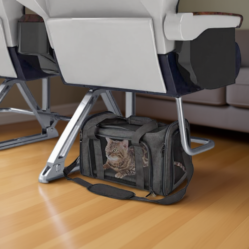 Pet Carrier For Small Medium Cats Dogs