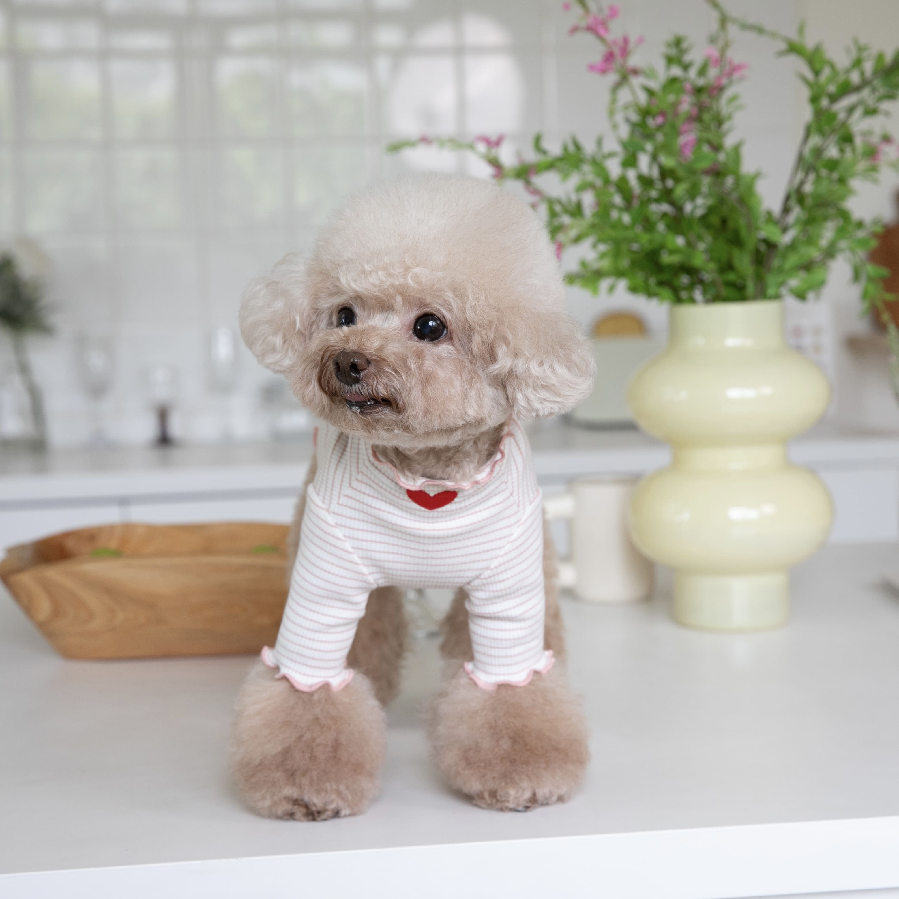 Heart Ruffled Striped Dog Cat Sweatshirt