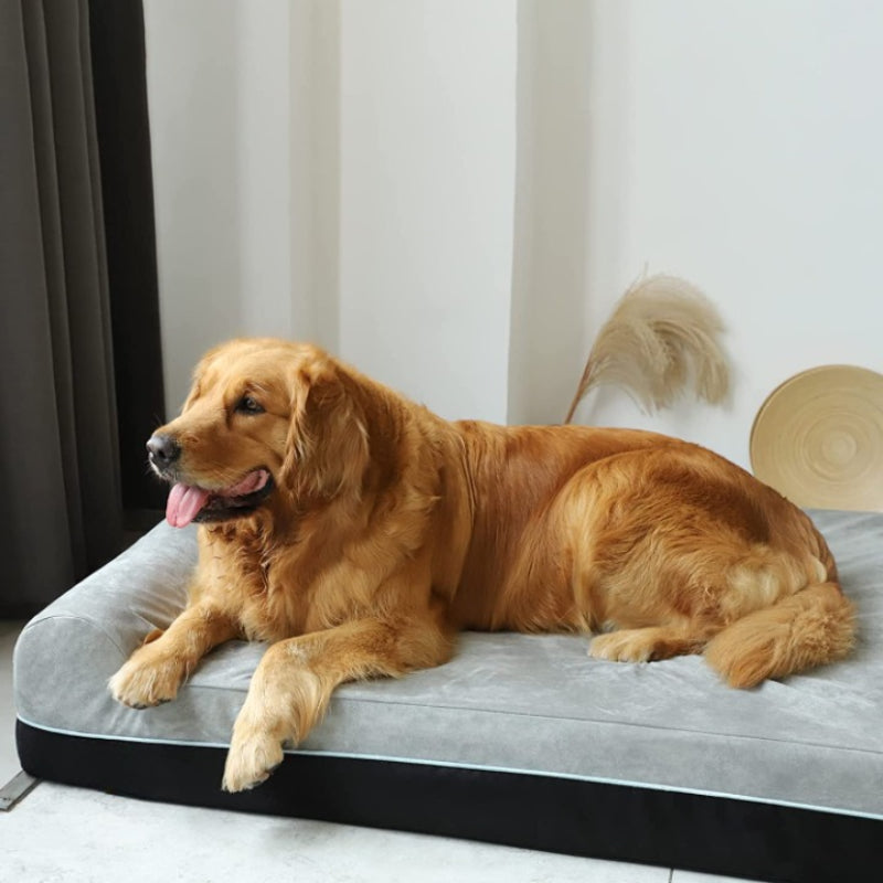 Orthopaedic Memory Foam Extra Large Dog Bed