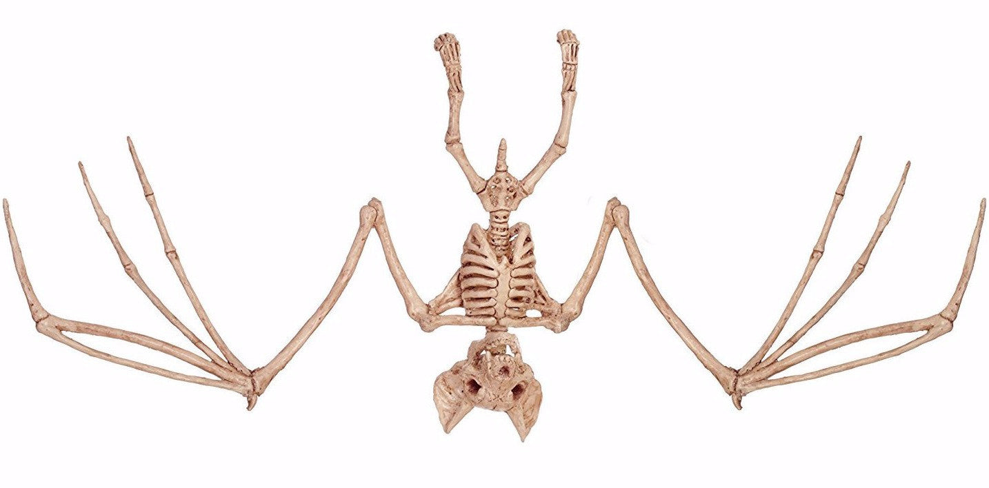 Bat Skeleton Figure