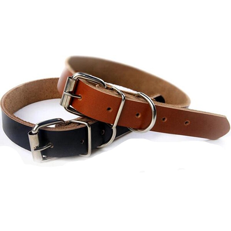 Puppy Dogs Collar