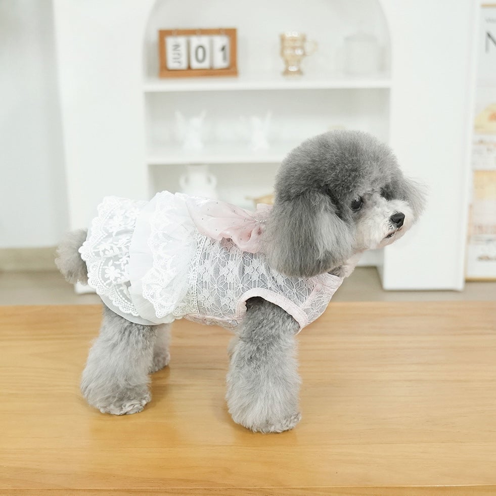 Sweet Lace Design Bow Dog Cat Dress