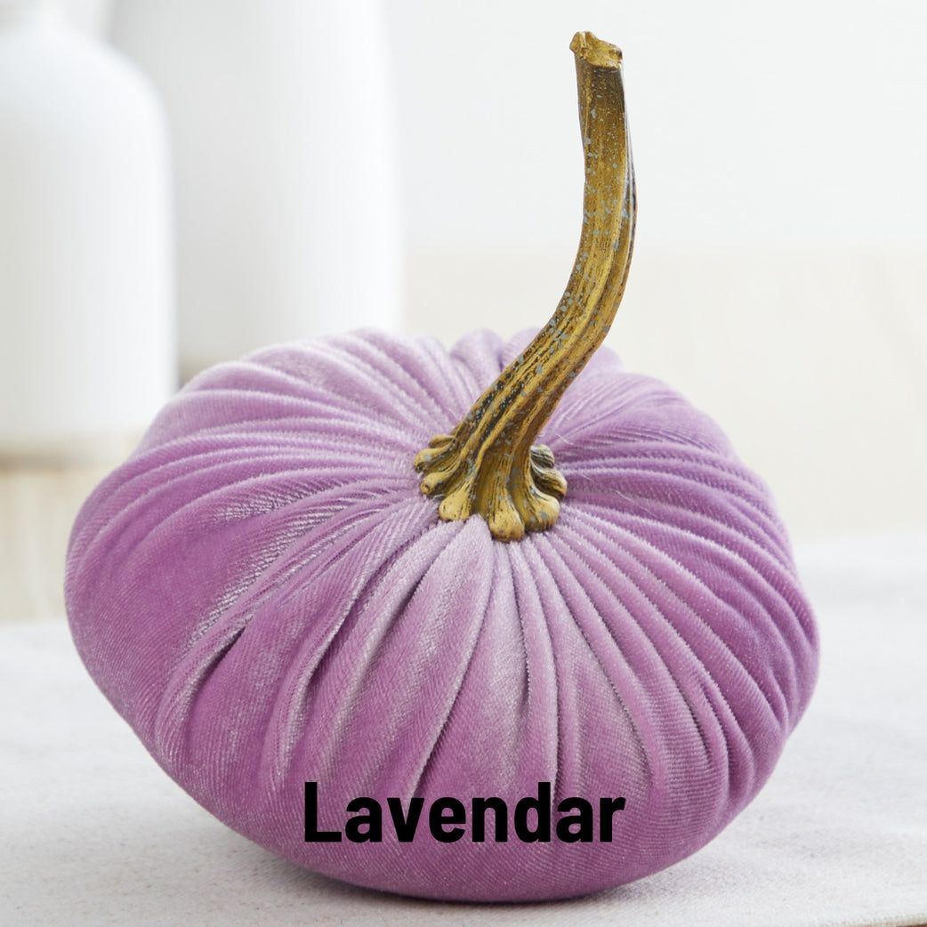 Velvet Pumpkin. Lavender