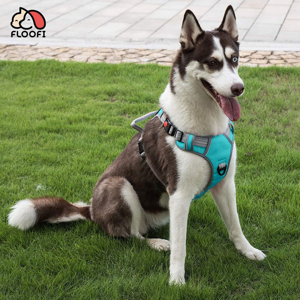 Dog Harness Vests with Lead