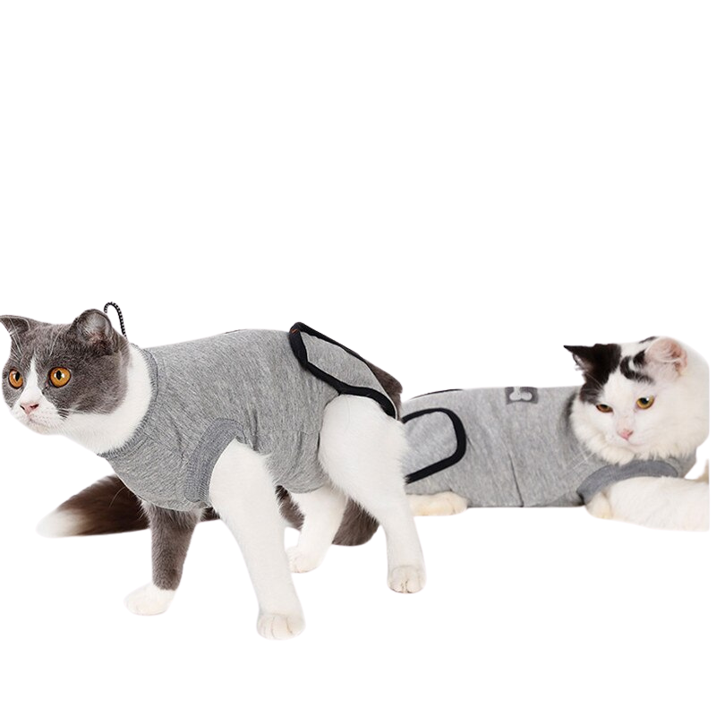 Cotton Pet Shirt