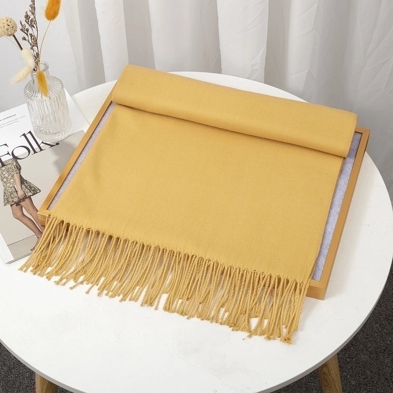 Women's Minimalist Solid Color Imitation Cashmere Tassel Scarf