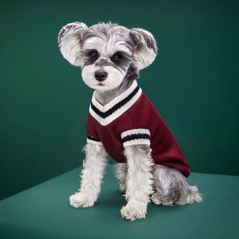 Autumn And Winter New Knitted Vest Pet Clothes V-neck College Style Vest Teddy Bomei Fashion Dog Clothes
