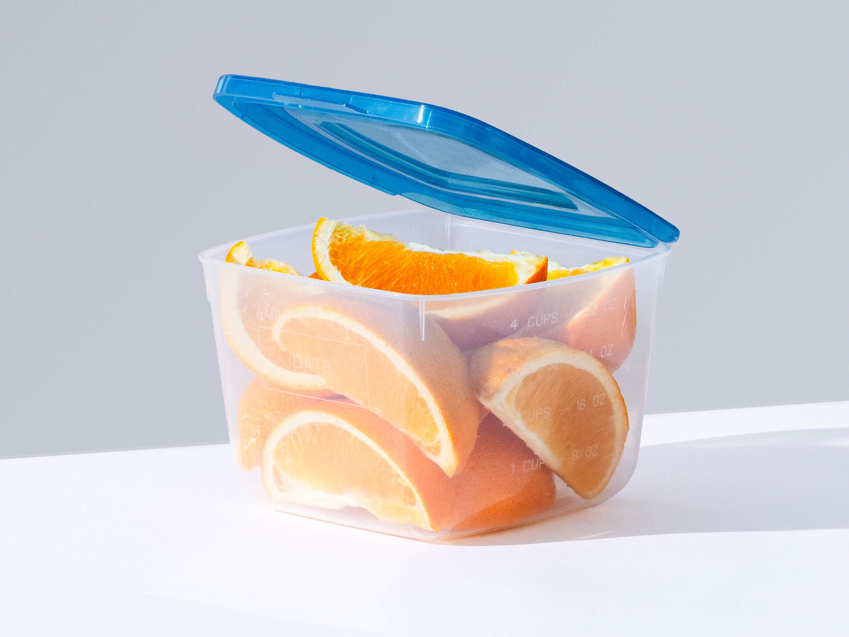 4 CUP CONTAINER