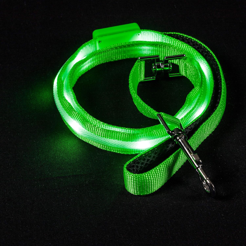 Pet Leash With USB Lighting