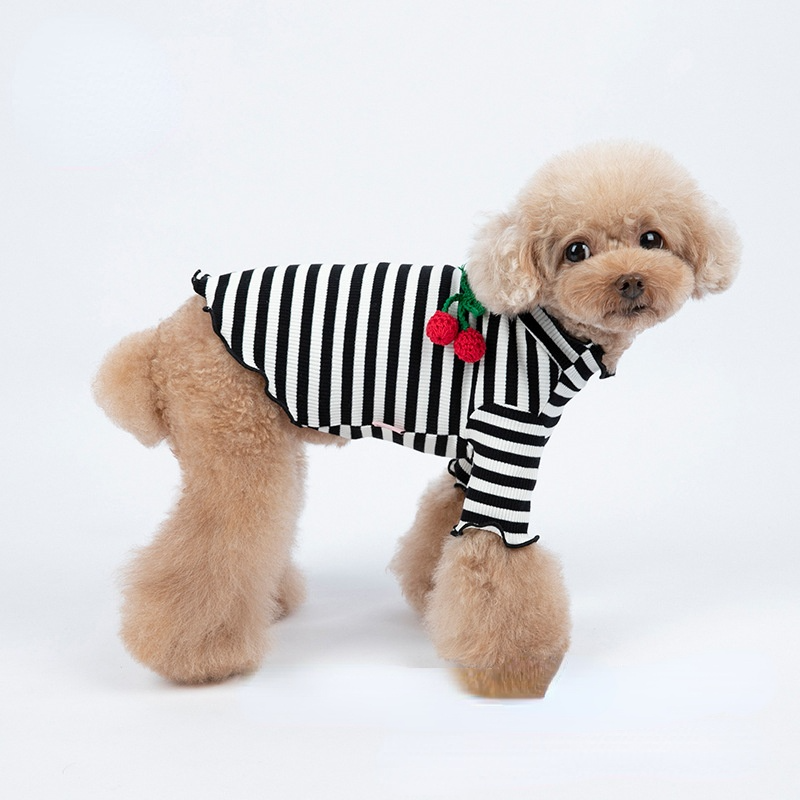 Striped Cherry Decor Dog Shirt