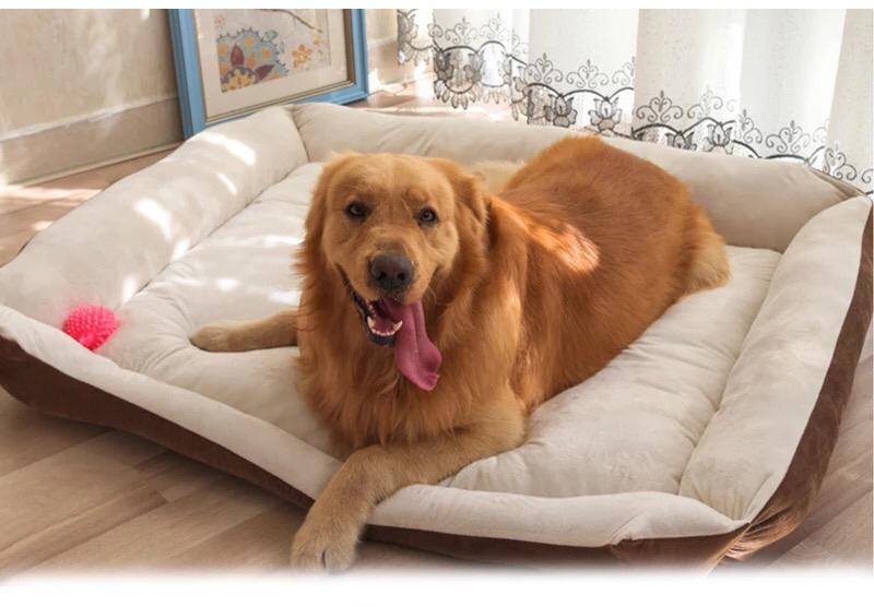 Comfy paw pet bed - XL - For cats & Small breed dogs_