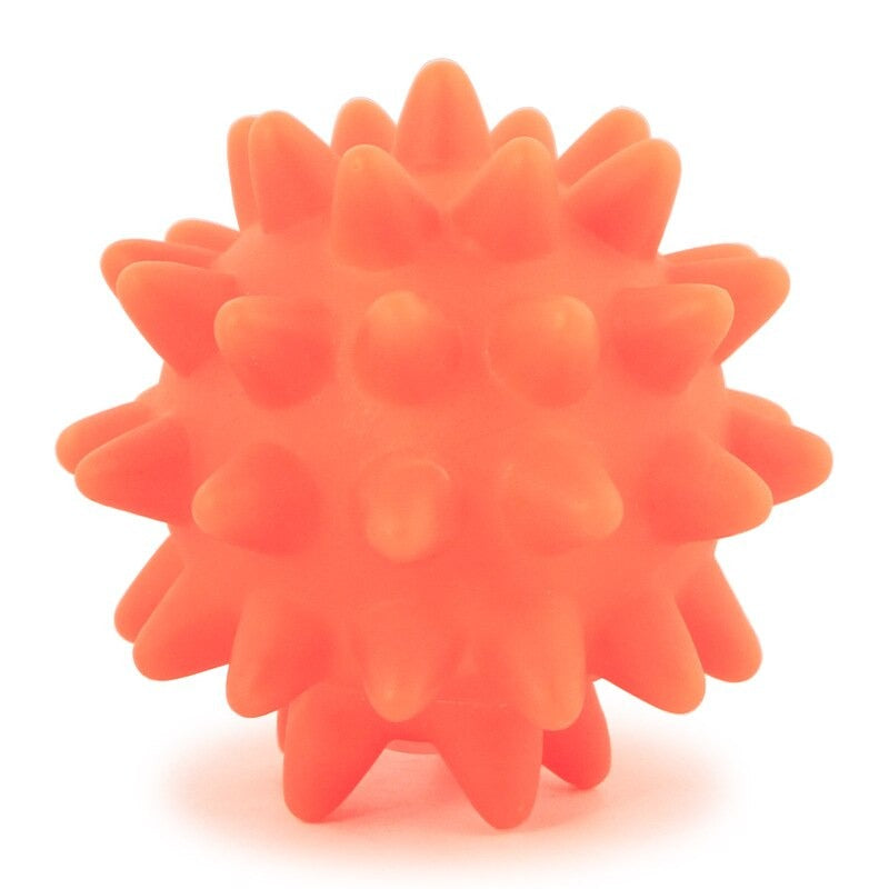 Dog Squeak Toys