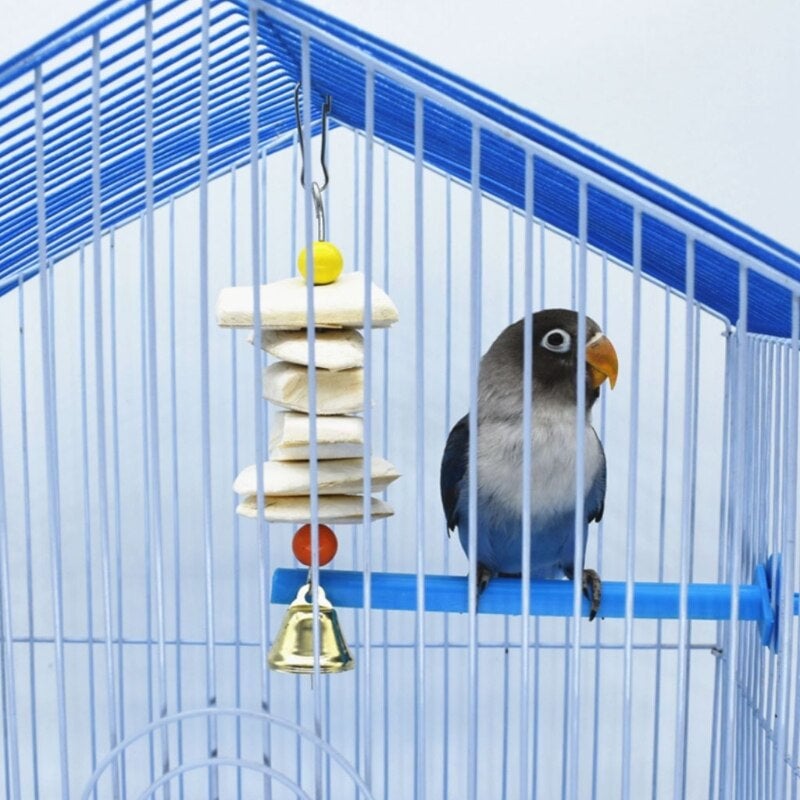 Parrot Cuttlefish Bone Toy