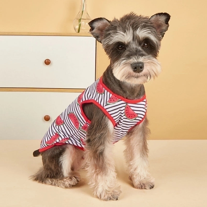 Dog Clothes Summer Pet Clothing Pet Vest Teddy Bulldog Clothes Cat Casual Clothes