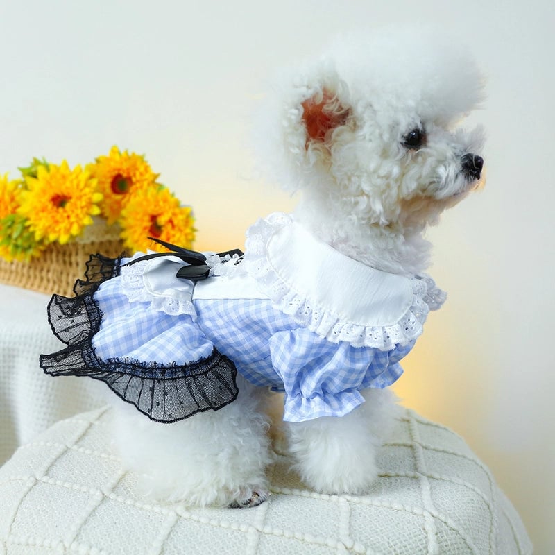 Pet Ring Dog Clothes Spring And Summer New Medium And Small Dog Blue And White Plaid Doll Collar Dress Fairy Tale Princess Dress