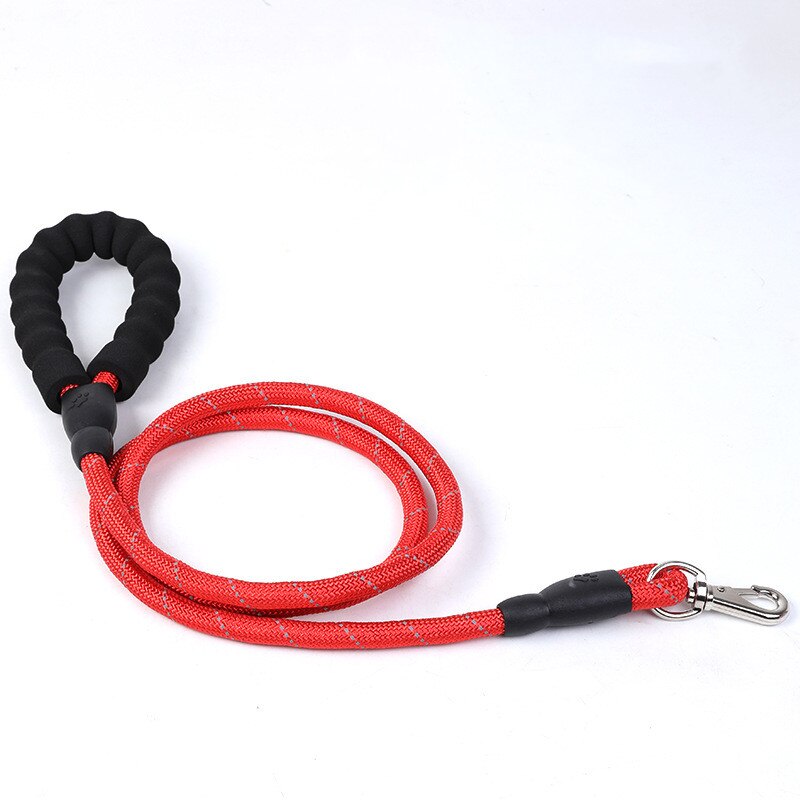 Large Dog Collar And Leash