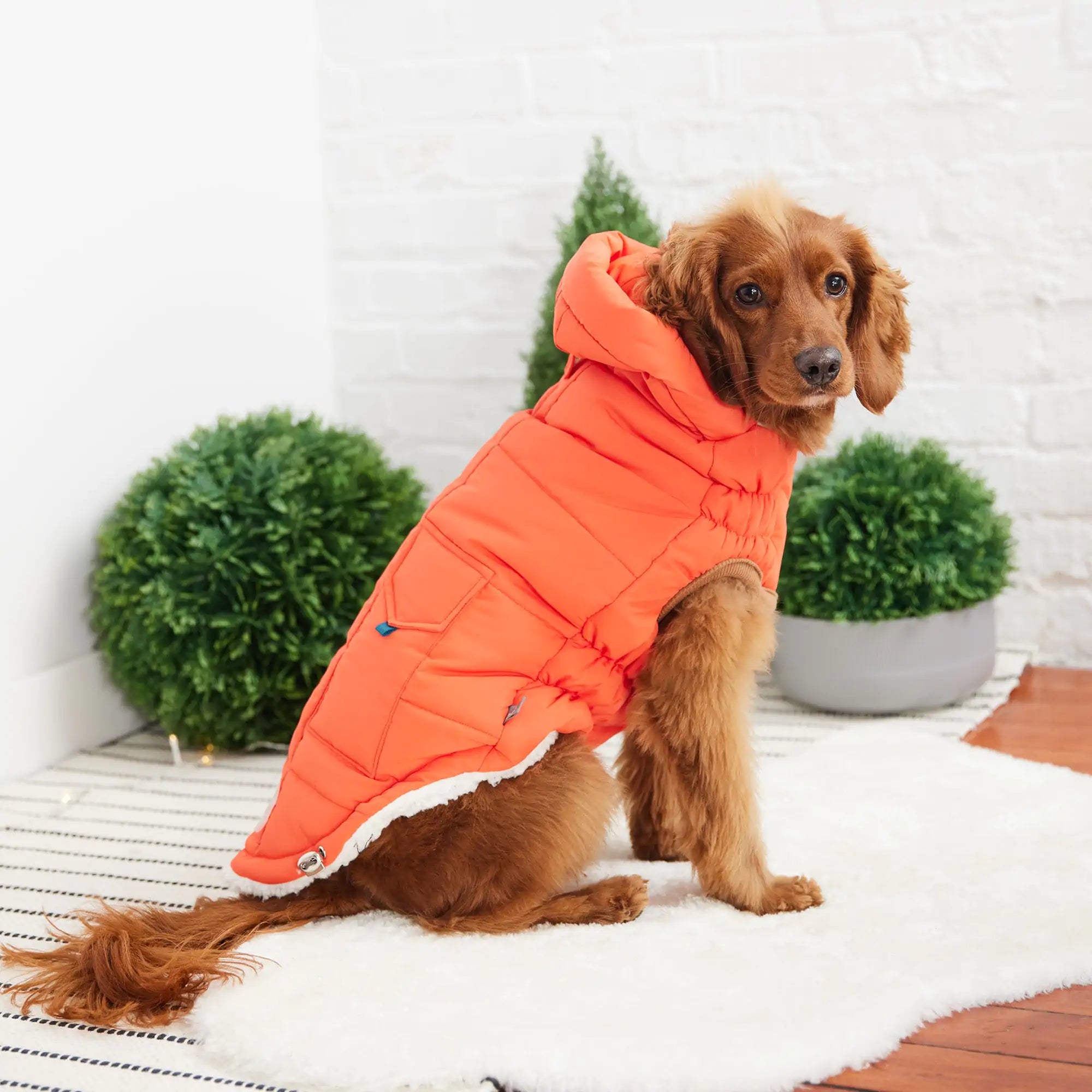 VividWarm Orange Parka