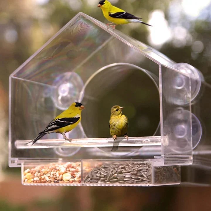 Hot sale--Window Bird Feeder for Outside🔥BUY 2 FREE SHIPPING🔥