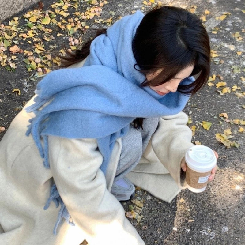 Women's Minimalist Classic Style Solid Color Imitation Cashmere Scarf