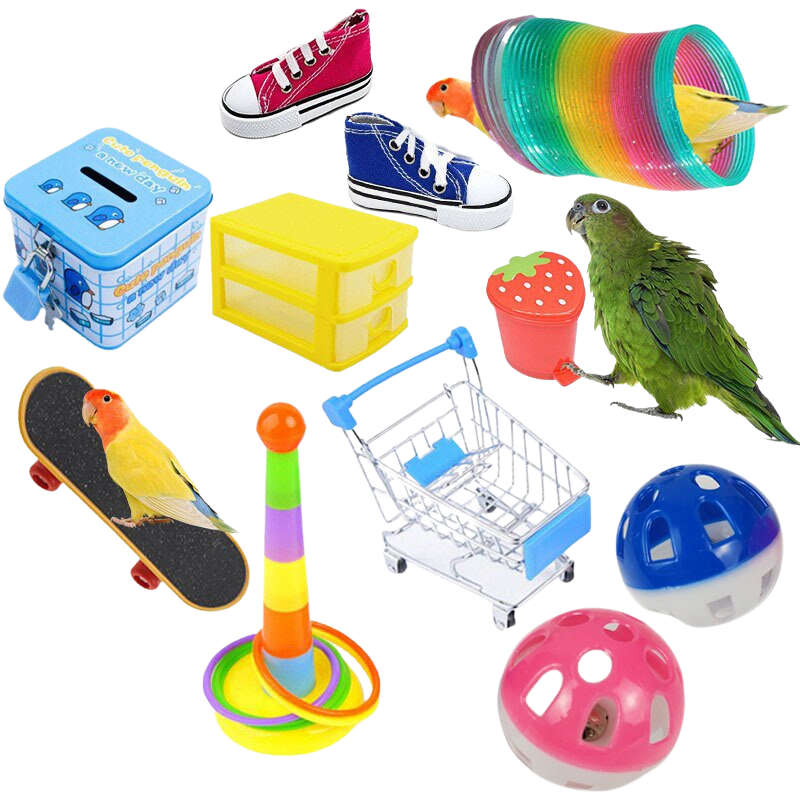 Birds Training Toys Set