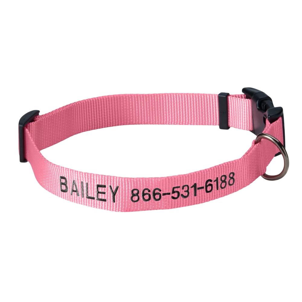 Personalized Side Release Buckle Collar