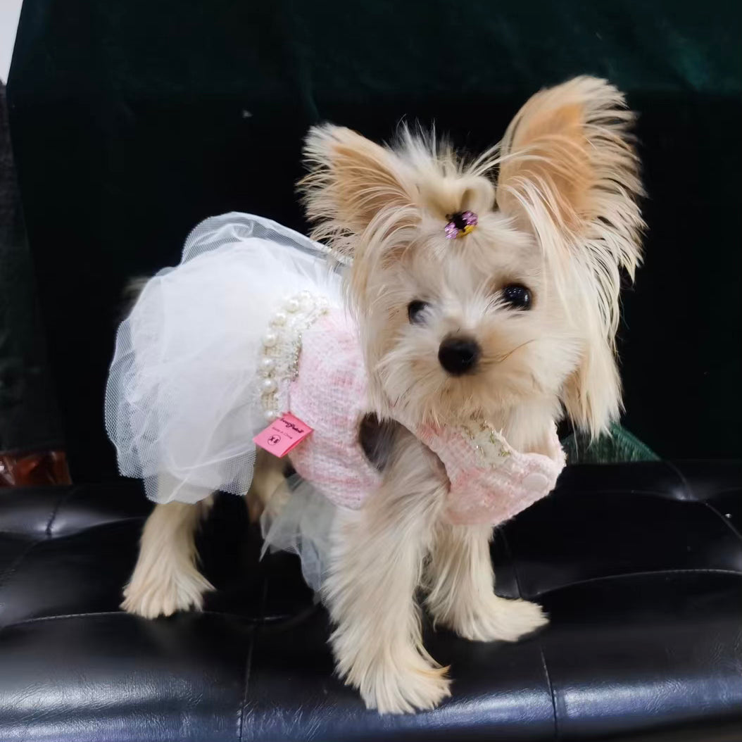 Princess Bowknot Dog Cat Lace Dress