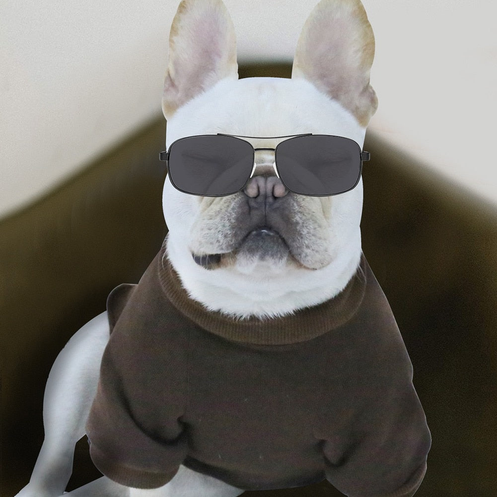 Multi-Color Warm Dog Hoodie