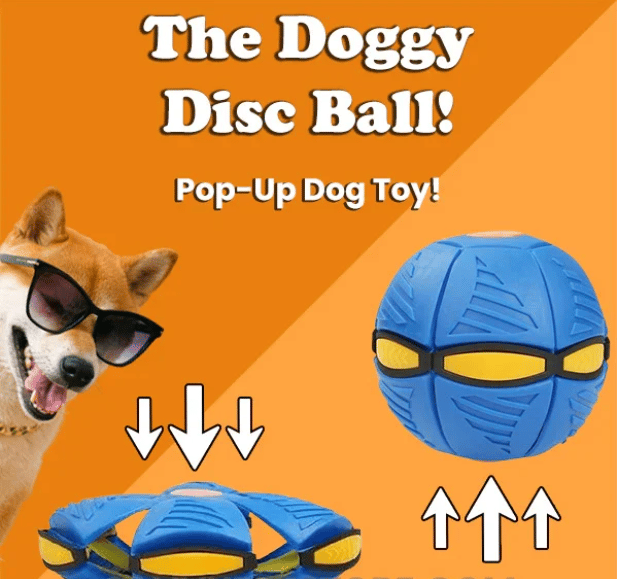 🔥LAST DAY 49% OFF🔥💥The Doggy Disc Ball💞