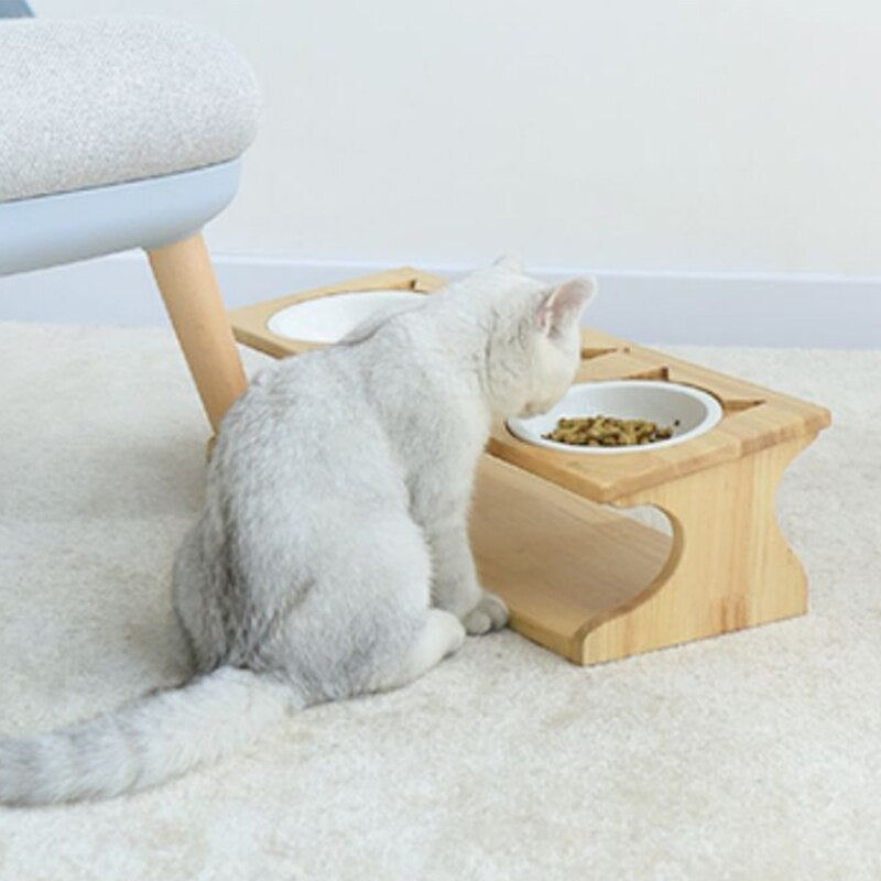 3 Stainless Steel Bowl Cat Feeder