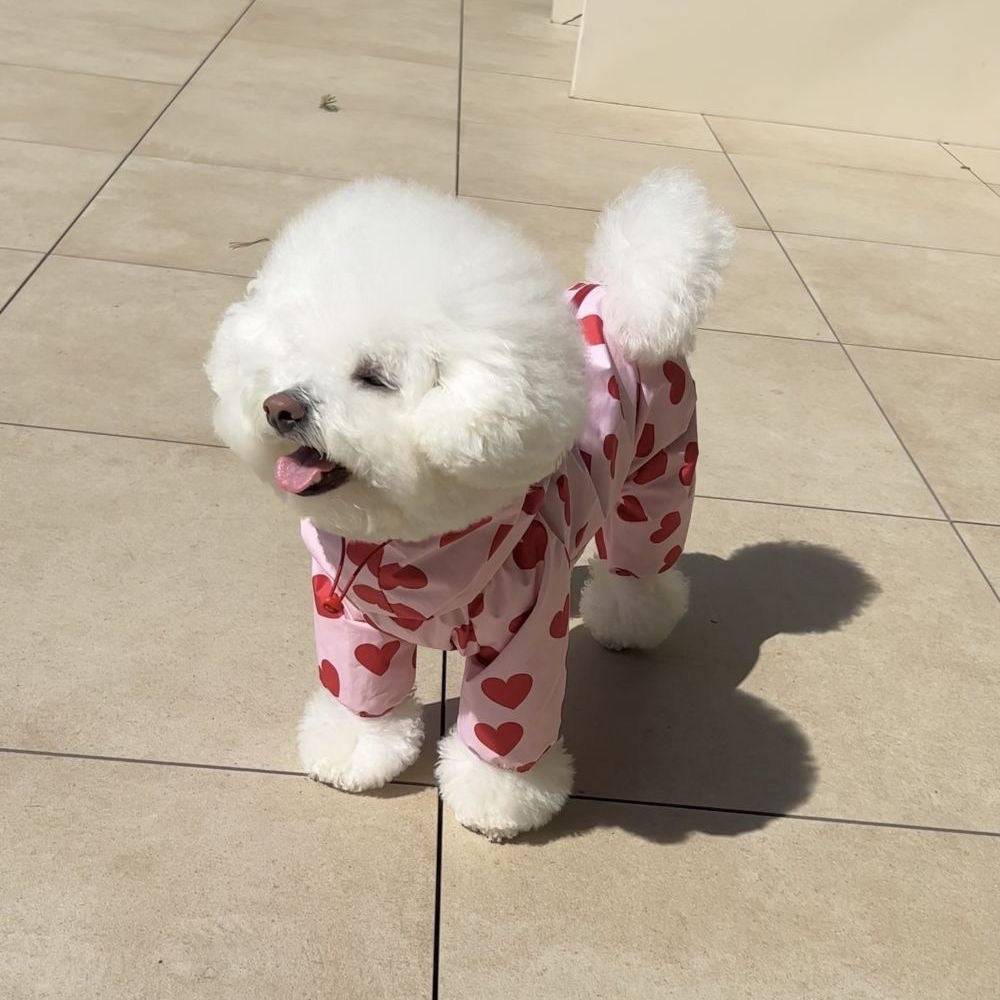 Heart/Cloud Printed Dog Cat Raincoat