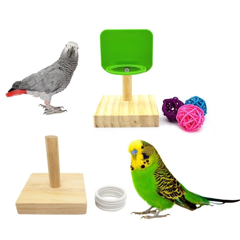 Bird Training Educational Toys Set