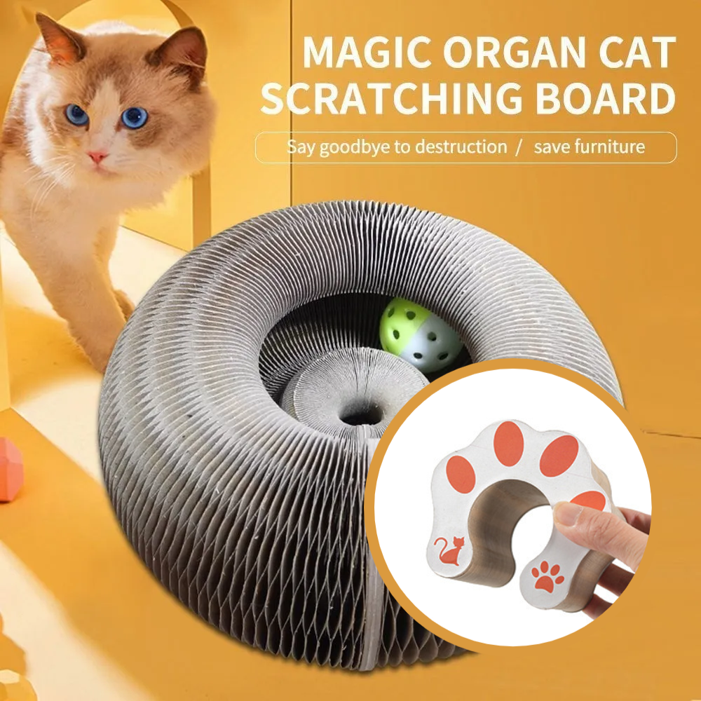💥Last Day Promotion 70% OFF💥Organ Cat Scratching Board